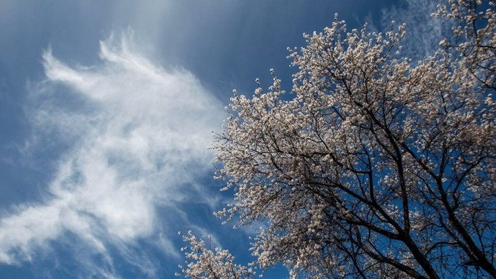 Καιρός: Σαββατοκύριακο με λιακάδες και άνοδο θερμοκρασίας – Πού θα σημειωθούν τοπικές βροχές