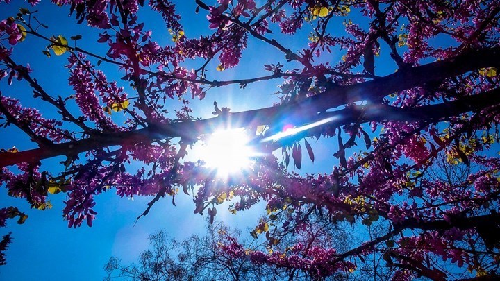 Καιρός: Αίθριος με τοπικές καταιγίδες – Μικρή άνοδος της θερμοκρασίας