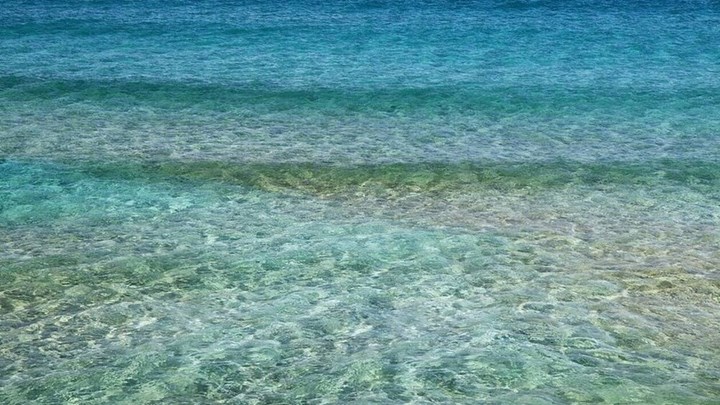 Χαμός στην Πάτρα: Κολυμπούσε γυμνός και τον συνέλαβαν – Πλάκωσε στο ξύλο τους αστυνομικούς