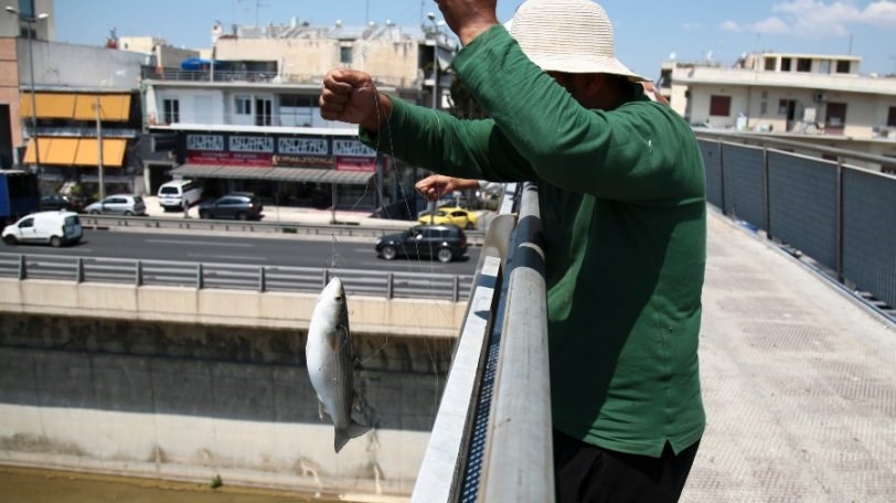Μοναδικές εικόνες: Ψαράδες ρίχνουν… πετονιά στον Κηφισό και βγάζουν κεφαλόπουλα – ΦΩΤΟ