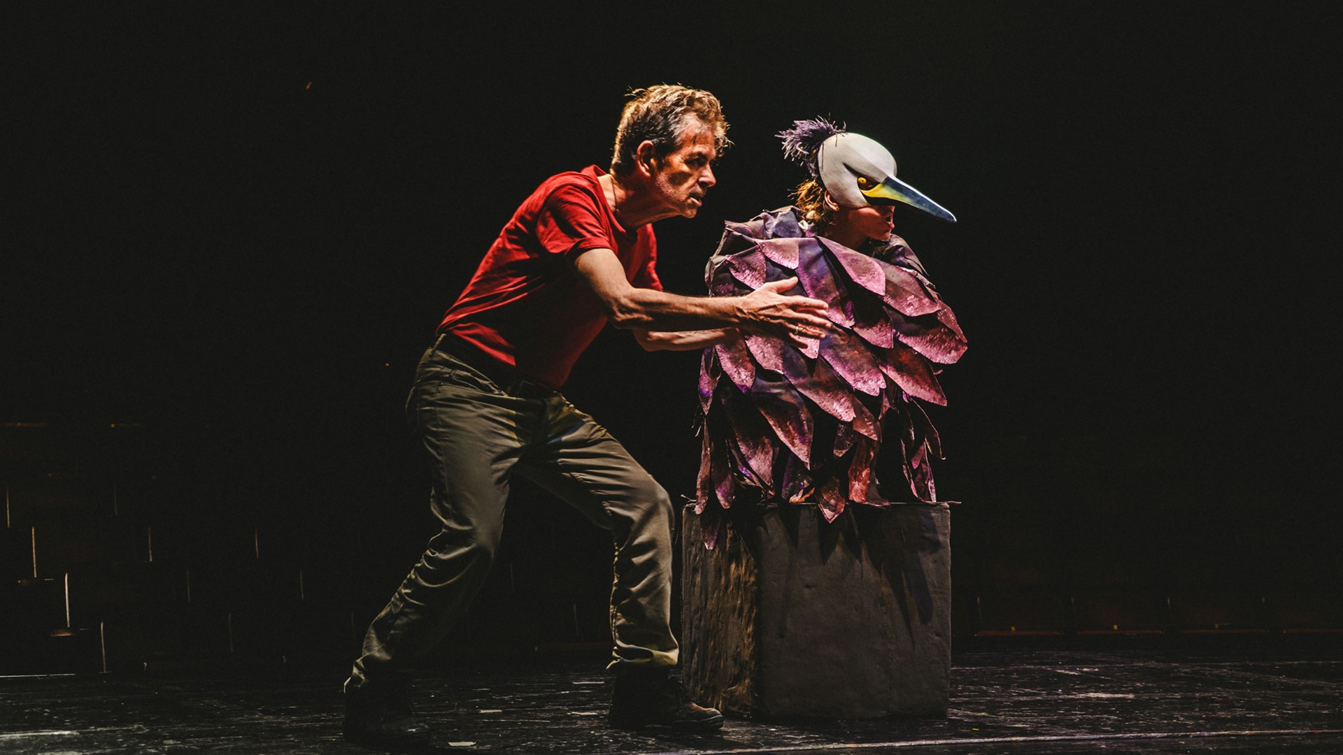 To enikos.gr μπήκε στις πρόβες των «Ορνίθων» που ετοιμάζει ο Γιάννης Ρήγας στο Κ.Θ.Β.Ε