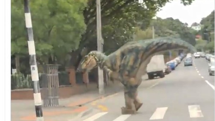 Είδαν…δεινόσαυρο να διασχίζει το δρόμο κι έμειναν άφωνοι – ΒΙΝΤΕΟ