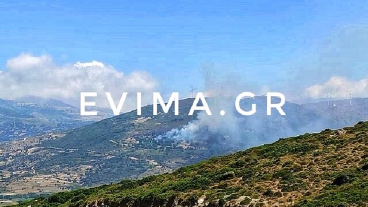 Φωτιά ΤΩΡΑ στην Εύβοια