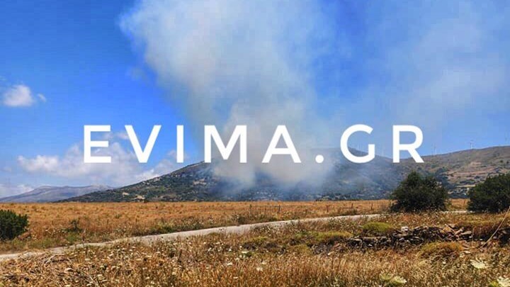 Εύβοια: Οι πρώτες εικόνες από τη φωτιά στην Κάρυστο – ΒΙΝΤΕΟ