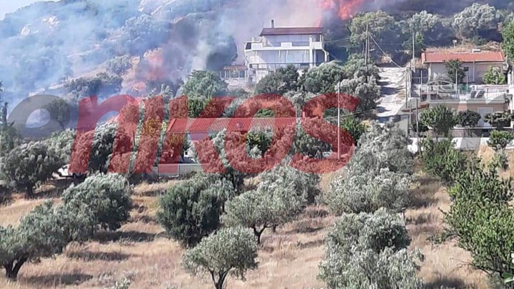Φωτιά στα Σπάτα κοντά σε σπίτια – ΦΩΤΟ αναγνώστη