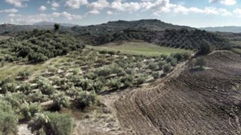 Δασικοί χάρτες: Τι προβλέπει η απόφαση για την αναμόρφωσή τους – Τι δήλωσε ο Χατζηδάκης