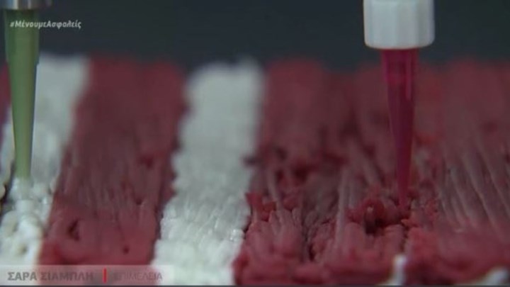 Ισραήλ: Έφτιαξαν μπριζόλα μέσω 3D εκτυπωτή και μόνο… με φυτικά υποκατάστατα – ΒΙΝΤΕΟ