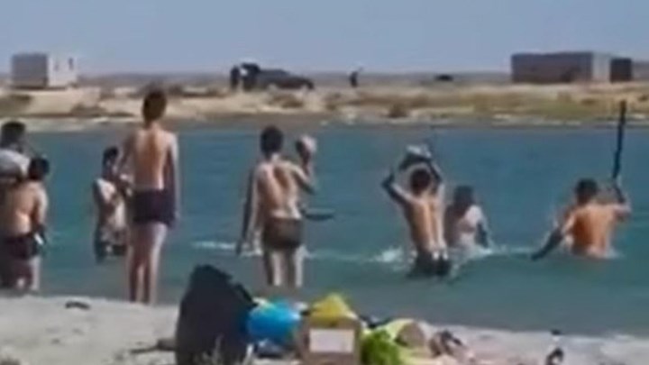 Κτηνωδία στο Καζακστάν: Ξυλοκοπούν φώκια για να βγάλουν τα παιδιά φωτογραφίες – ΒΙΝΤΕΟ