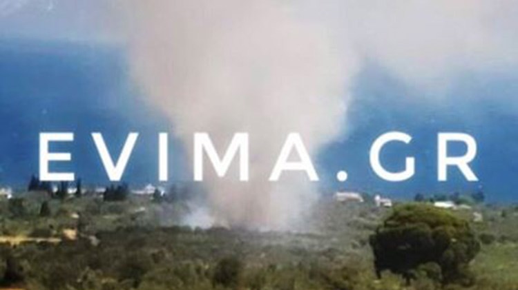 Φωτιά στα Λουκίσσια Ευβοίας – ΦΩΤΟ