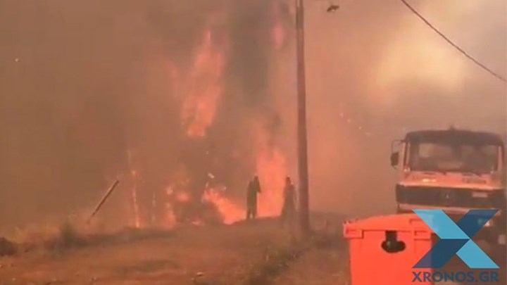 Φωτιά στις Σάπες Ροδόπης: Περιορίστηκε σε δασική έκταση και μακριά από κατοικημένη περιοχή