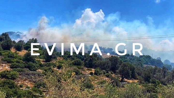 Οι πρώτες εικόνες από τη φωτιά στην Εύβοια – ΦΩΤΟ