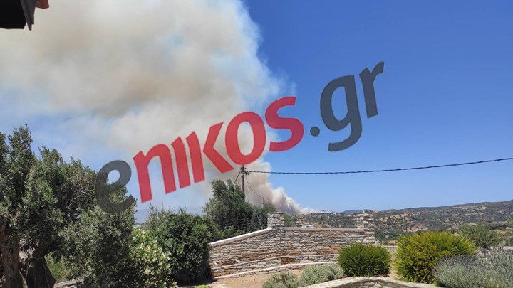 Εύβοια: Η φωτιά στους Ραπταίους όπως φαίνεται από τα Νέα Στύρα – ΦΩΤΟ Αναγνώστη
