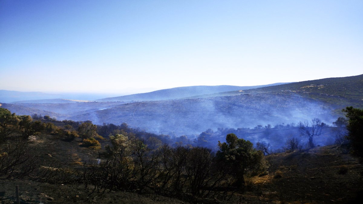 Εύβοια: Υπό έλεγχο η φωτιά στους Ραπταίους