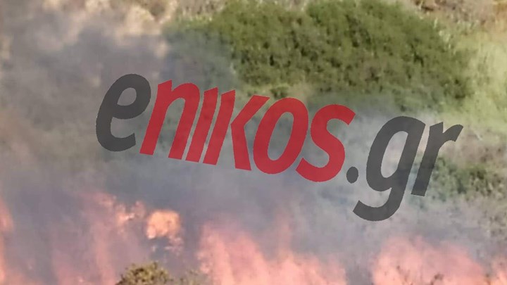 Υπό έλεγχο η φωτιά στην Κω – ΦΩΤΟ αναγνώστη