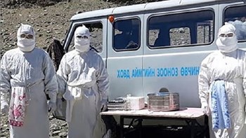 Μογγολία: Νεκρός 15χρονος από βουβωνική πανώλη