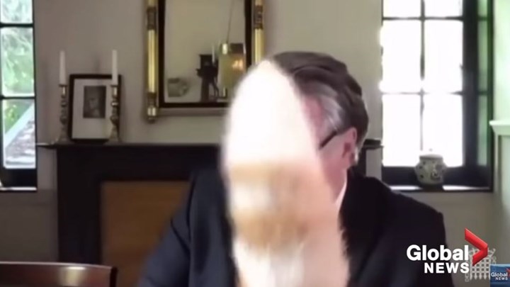 Viral: Γάτα διακόπτει βουλευτή κατά τη διάρκεια τηλεδιάσκεψης – ΒΙΝΤΕΟ