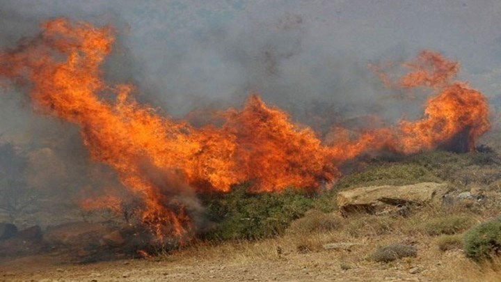Φωτιά ΤΩΡΑ στην Ηλεία