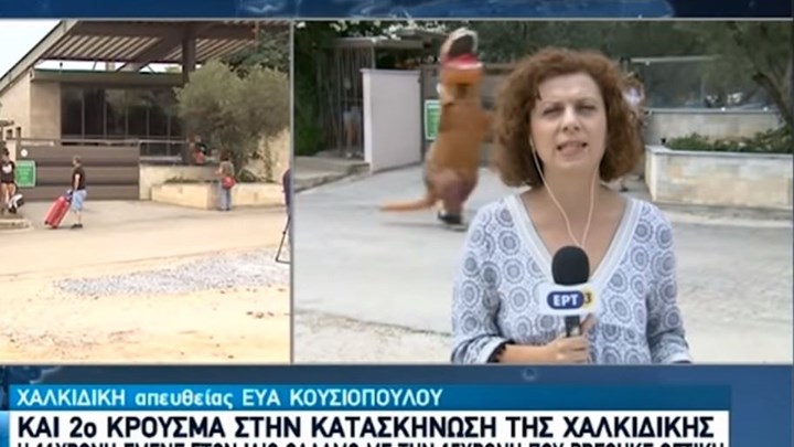 “Δεινόσαυρος” τρέχει πίσω από δημοσιογράφο της ΕΡΤ και γίνεται viral – ΒΙΝΤΕΟ
