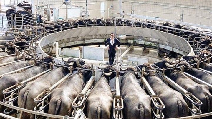 Σάλος με το βίντεο του Salt Bae: Κάνει τον μαέστρο σε εκτροφείο – σφαγείο και τα “report” πέφτουν βροχή