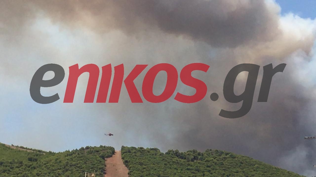 Μεγάλη φωτιά στο Λαύριο: Εκκενώνονται οικισμοί – ΤΩΡΑ