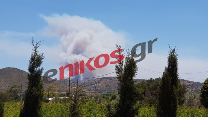 Λαύριο: Νέες εικόνες από τη μεγάλη φωτιά – ΦΩΤΟ Αναγνώστη