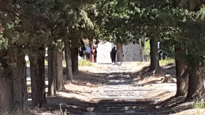 Νεκρή 16χρονη στα Τρίκαλα: Η κατάθεση “κλειδί”, το βίντεο και ο καβγάς – Ανοίγει νέος κύκλος ερευνών