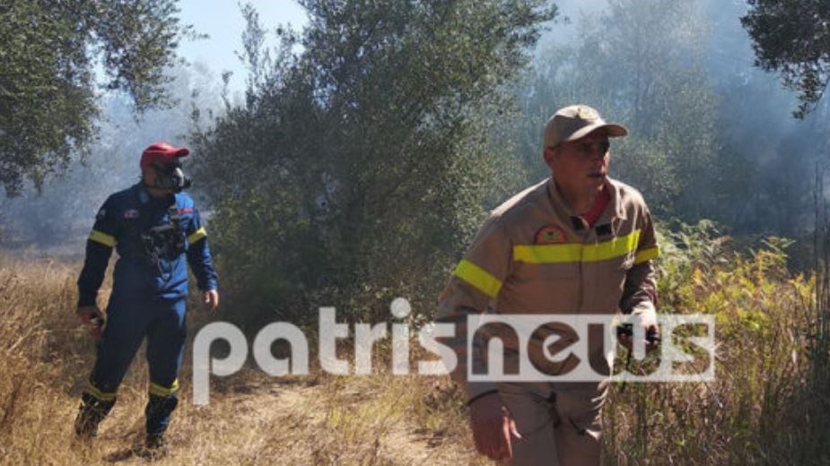 Οι πρώτες εικόνες από τη μεγάλη φωτιά στην Ηλεία – Ενισχύονται οι δυνάμεις της Πυροσβεστικής