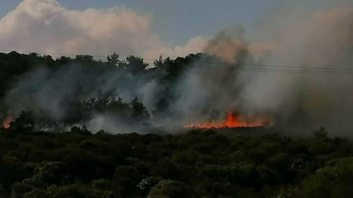Φωτιά ΤΩΡΑ στη Λέσβο
