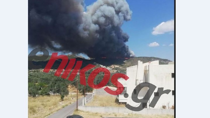 Εικόνες από τη μεγάλη φωτιά στις Κεχριές Κορινθίας – ΦΩΤΟ αναγνώστη