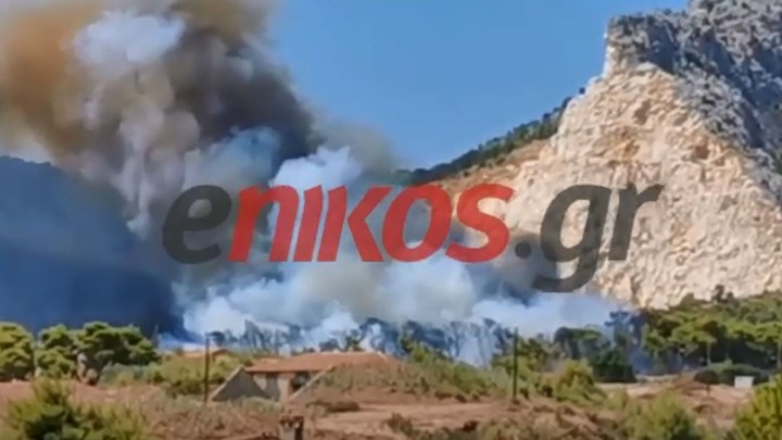 Μάχη με τις φλόγες στις Κεχριές Κορινθίας – ΒΙΝΤΕΟ αναγνώστη από τη μεγάλη φωτιά