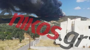 Φωτιά στις Κεχριές: “Πολύ κοντά σε σπίτια οι φλόγες” λέει ο Δήμαρχος Κορινθίων