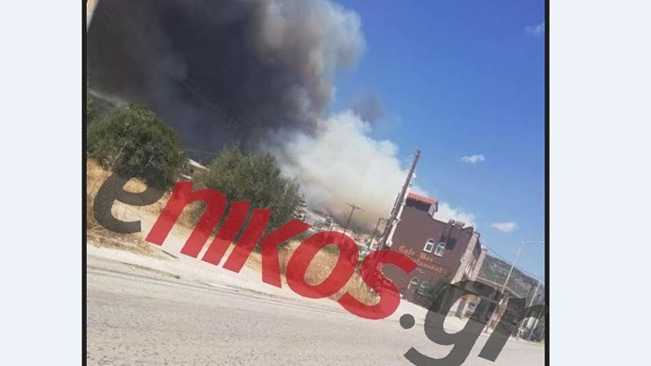 Μεγάλη φωτιά στις Κεχριές Κορινθίας: Ενισχύονται οι δυνάμεις της Πυροσβεστικής – ΦΩΤΟ αναγνώστη