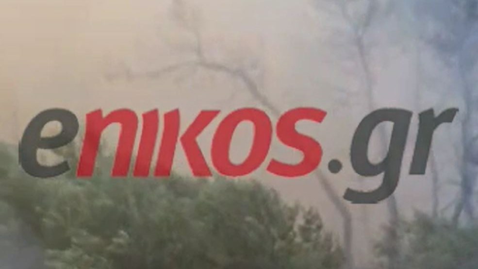 Φωτιά στις Κεχριές Κορινθίας: Η μάχη των πυροσβεστών με τις φλόγες – ΒΙΝΤΕΟ αναγνώστη