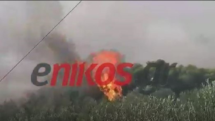 Κεχριές Κορινθίας: Ανεξέλεγκτη η φωτιά – Εκκενώθηκαν τα Αθίκια – ΒΙΝΤΕΟ αναγνώστη