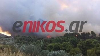 Δήμαρχος Κορινθίας στο enikos.gr: Σε πυκνό δάσος η φωτιά, άρα είναι δύσκολο να ελεγχθεί