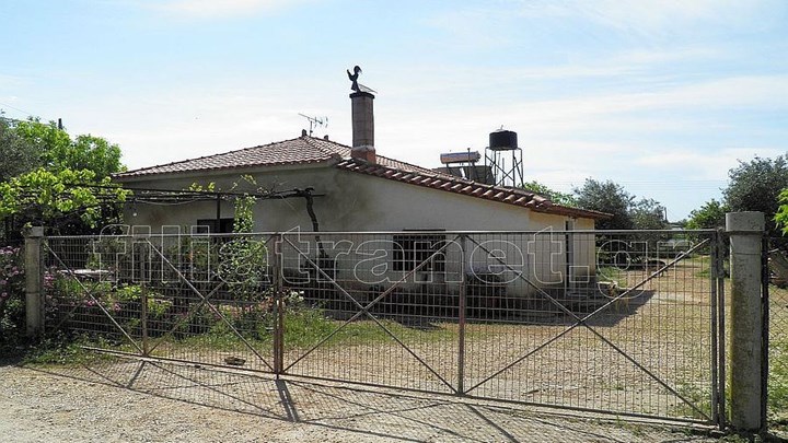 Άγριο έγκλημα στα Φιλιατρά: Γυναίκα βρέθηκε μαχαιρωμένη – ΦΩΤΟ – ΒΙΝΤΕΟ