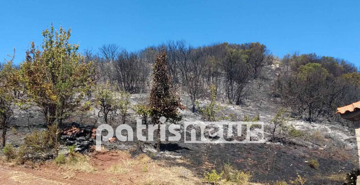 Θρίλερ με νεκρό άντρα κοντά στη φωτιά στη Φιγαλεία Ηλείας