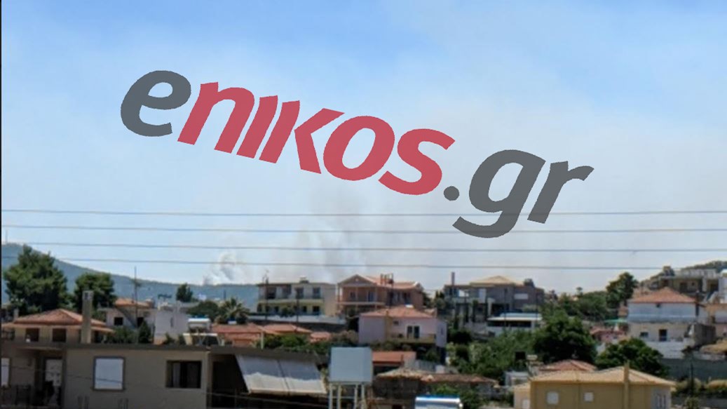 Νέος συναγερμός στις Κεχριές – Έτσι φαίνεται η φωτιά από την Αρχαία Κόρινθο – ΦΩΤΟ αναγνώστη