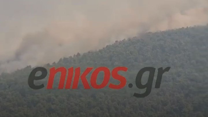 Φωτιά στις Κεχριές: Σε κατάσταση έκτακτης ανάγκης πέντε κοινότητες στην Κορινθία