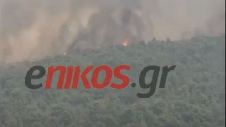 Κεχριές: Συγκλονιστικές εικόνες από τη μεγάλη πυρκαγιά – ΒΙΝΤΕΟ αναγνώστη