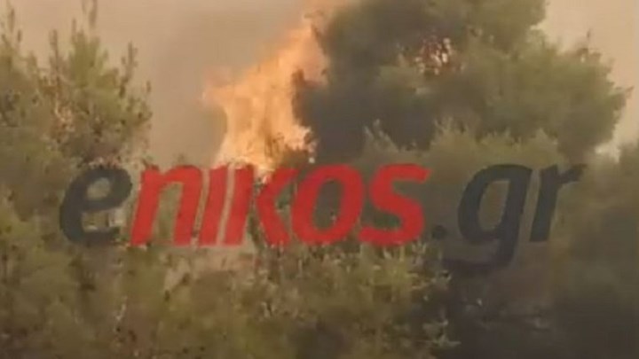 Φωτιά στις Κεχριές: Σε ύφεση η μεγάλη πυρκαγιά – Κόπασαν οι άνεμοι από το βράδυ – ΦΩΤΟ – ΒΙΝΤΕΟ