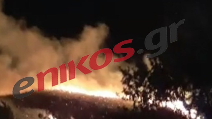 ΕΚΤΑΚΤΟ – Μεγάλη φωτιά κοντά σε οικισμό στην Κεφαλονιά – ΦΩΤΟ αναγνώστη