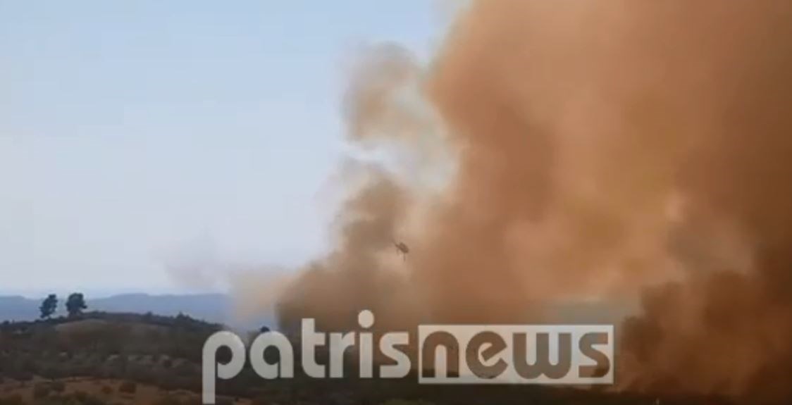 Μάχη με τις φλόγες στην Ηλεία: Ενισχύονται οι δυνάμεις – Σε ετοιμότητα για εκκένωση οι κάτοικοι οικισμού