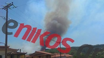 Ηλεία: Μια σύλληψη για τη φωτιά στο Γραμματικό – Κατηγορείται για εμπρησμό από αμέλεια