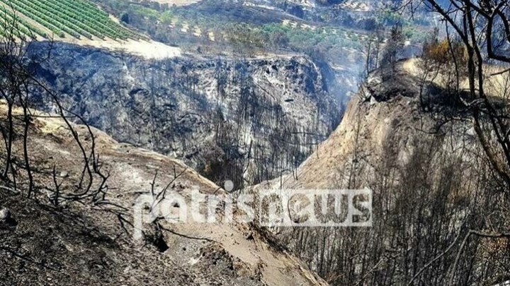 Φωτιά στην Ηλεία: Κρανίου τόπος χωριά στην Αρχαία Ολυμπία – Παντού στάχτες και αποκαΐδια – ΦΩΤΟ – ΒΙΝΤΕΟ