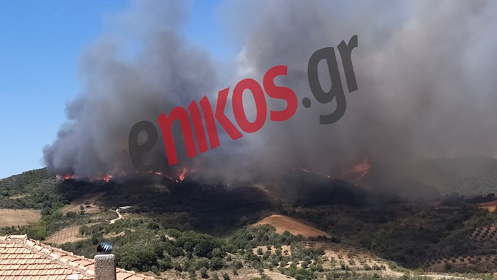 Φωτιά ΤΩΡΑ στην Ηλεία – ΦΩΤΟ αναγνώστη
