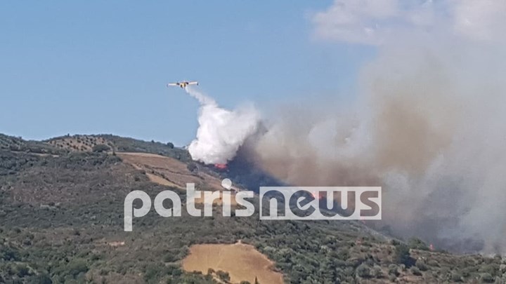 Φωτιά στην Ηλεία: Ενισχύθηκαν οι πυροσβεστικές δυνάμεις – ΦΩΤΟ – ΒΙΝΤΕΟ