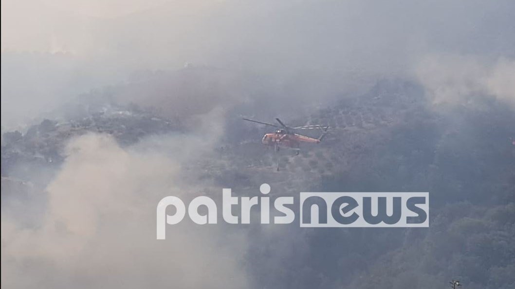 Ηλεία: Νέες εικόνες από τη μεγάλη φωτιά – ΦΩΤΟ – ΒΙΝΤΕΟ