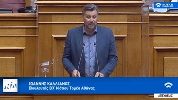 Καλλιάνος: Ενημέρωσε και από το βήμα της Βουλής για τον επερχόμενο καύσωνα -ΒΙΝΤΕΟ