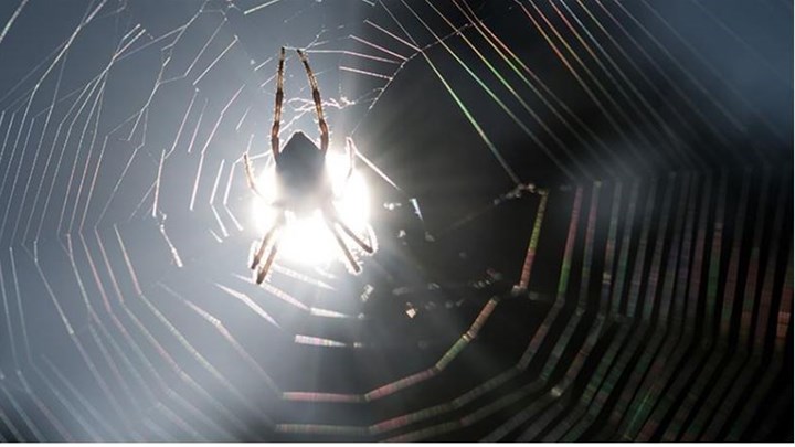 Αμφιλοχία: Τα νεότερα για την υγεία του μωρού που τσίμπησε η “μαύρη χήρα”